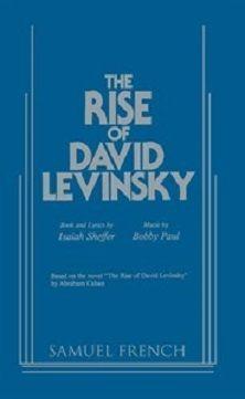 The Rise Of David Levinsky Book Cover