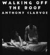 Walking Off The Roof Book Cover