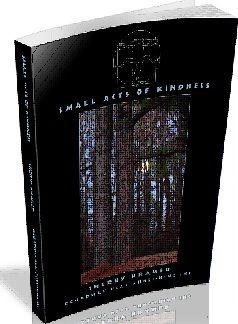 Small Acts of Kindness Book Cover