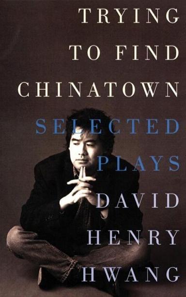 Trying To Find Chinatown Book Cover