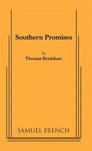 Southern Promises Book Cover