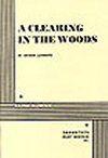 A Clearing In The Woods Book Cover