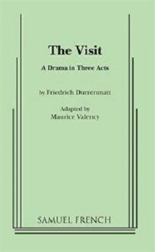 The Visit Book Cover