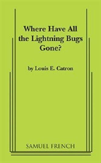 Where Have All The Lightning Bugs Gone? Book Cover