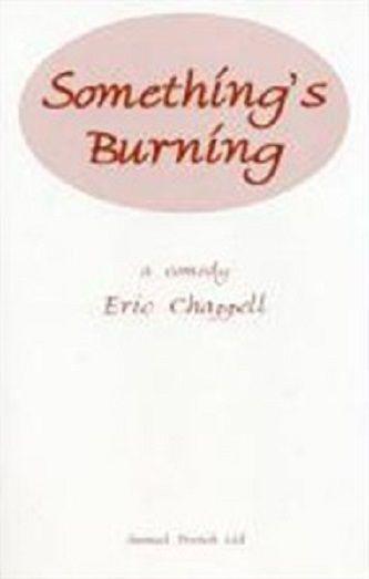 Something's Burning Book Cover