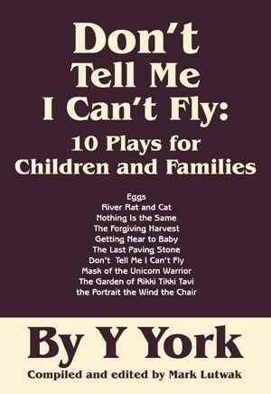 Don't Tell Me I Can't Fly Book Cover