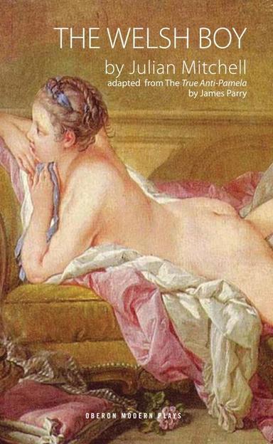The Welsh Boy Book Cover