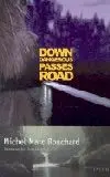 Down Dangerous Passes Road Book Cover