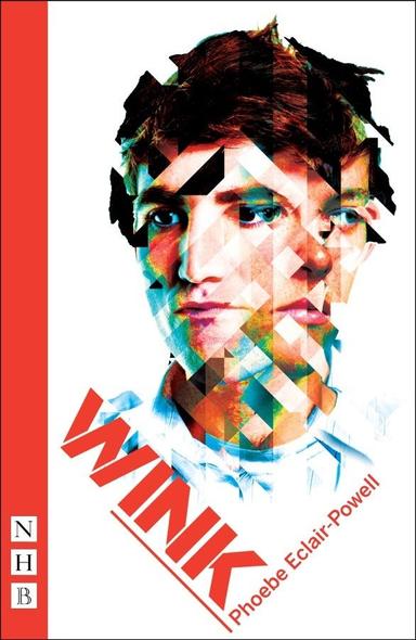 Wink Book Cover