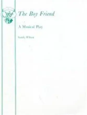 The Boy Friend Book Cover